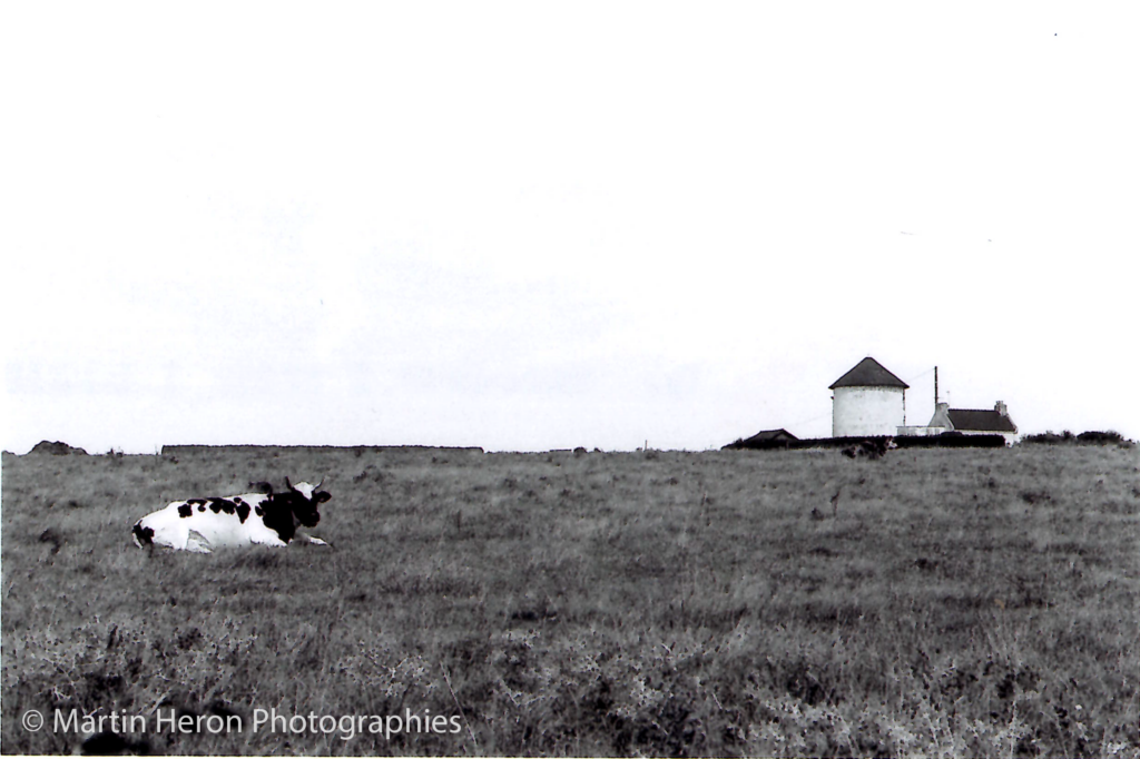 Noirmoutier - 2022